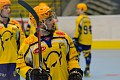 ČF: IHC Night Birds Přerov - IHC Devils Zlín