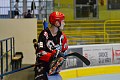 ČF: IHC Night Birds Přerov - IHC Devils Zlín